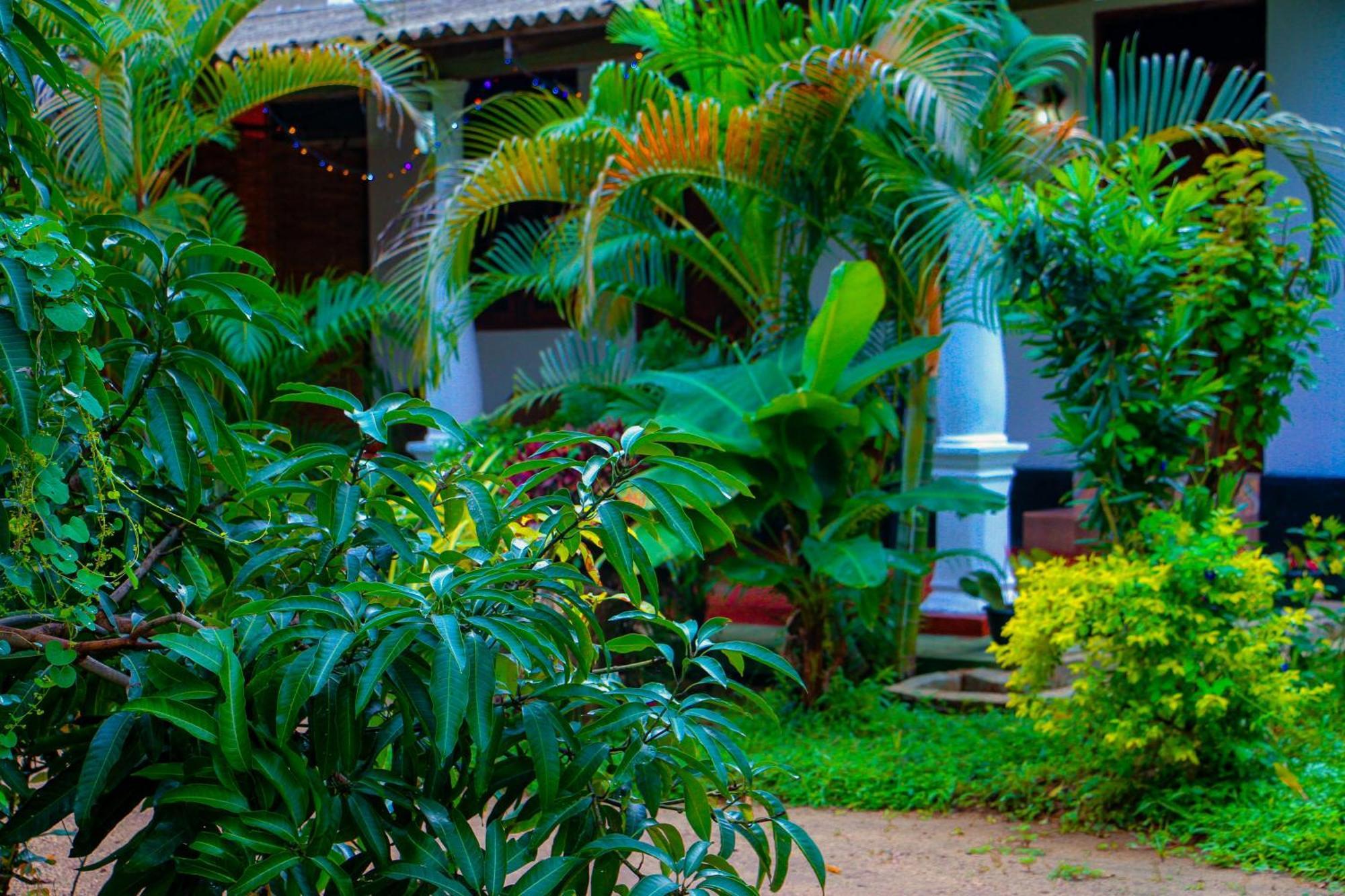 Chanaka Holiday Inn Sigiriya Exterior foto